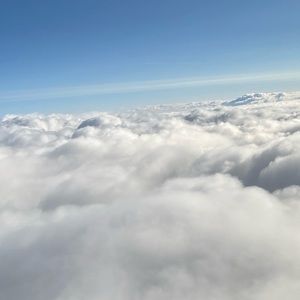 Meet your Posher, Jacari